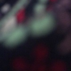 Meet your Posher, Janet